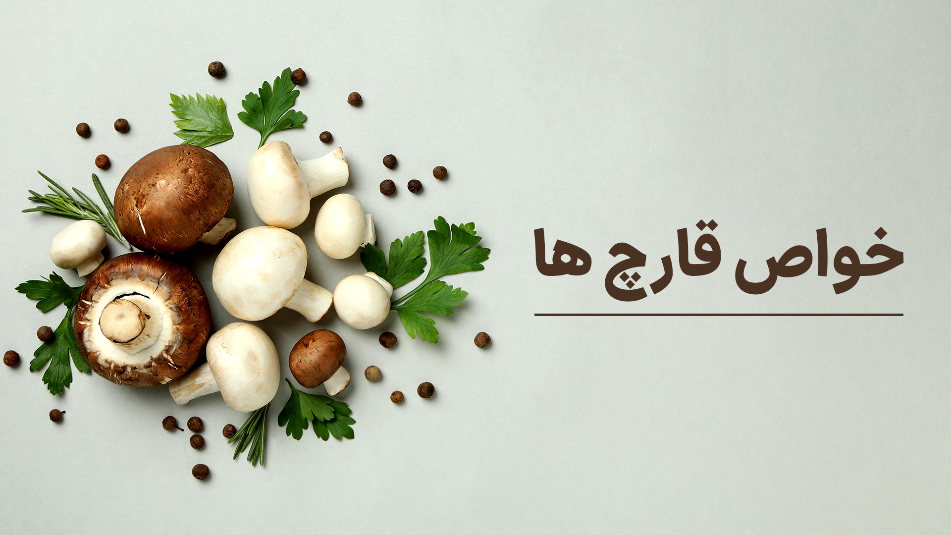با انواع قارچها آشنا شوید
